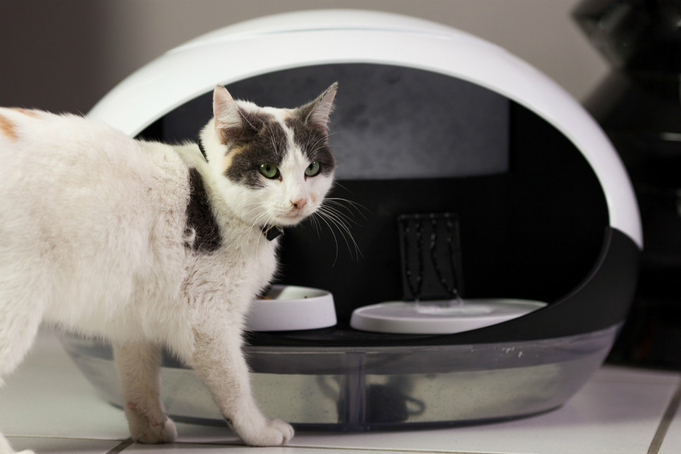 某创业公司薪酬激励项目纪实