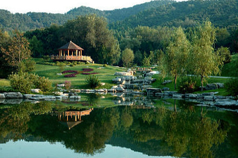 某主题公园人力资源开发项目纪实