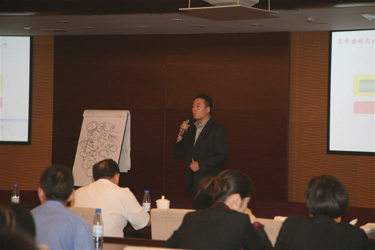 某大型医药企业人力资源管理团队建设咨询项目