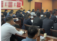 对某国有投资集团顺利开展人才盘点项目汇报