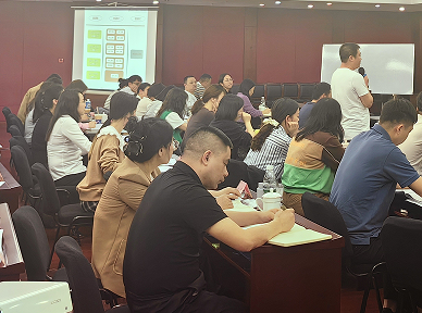 某央企下属电子集团组织提升项目成功案例纪实